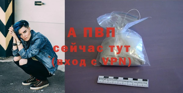 apvp Богданович